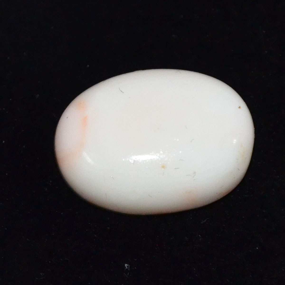 CORAL 19.86 Ct.