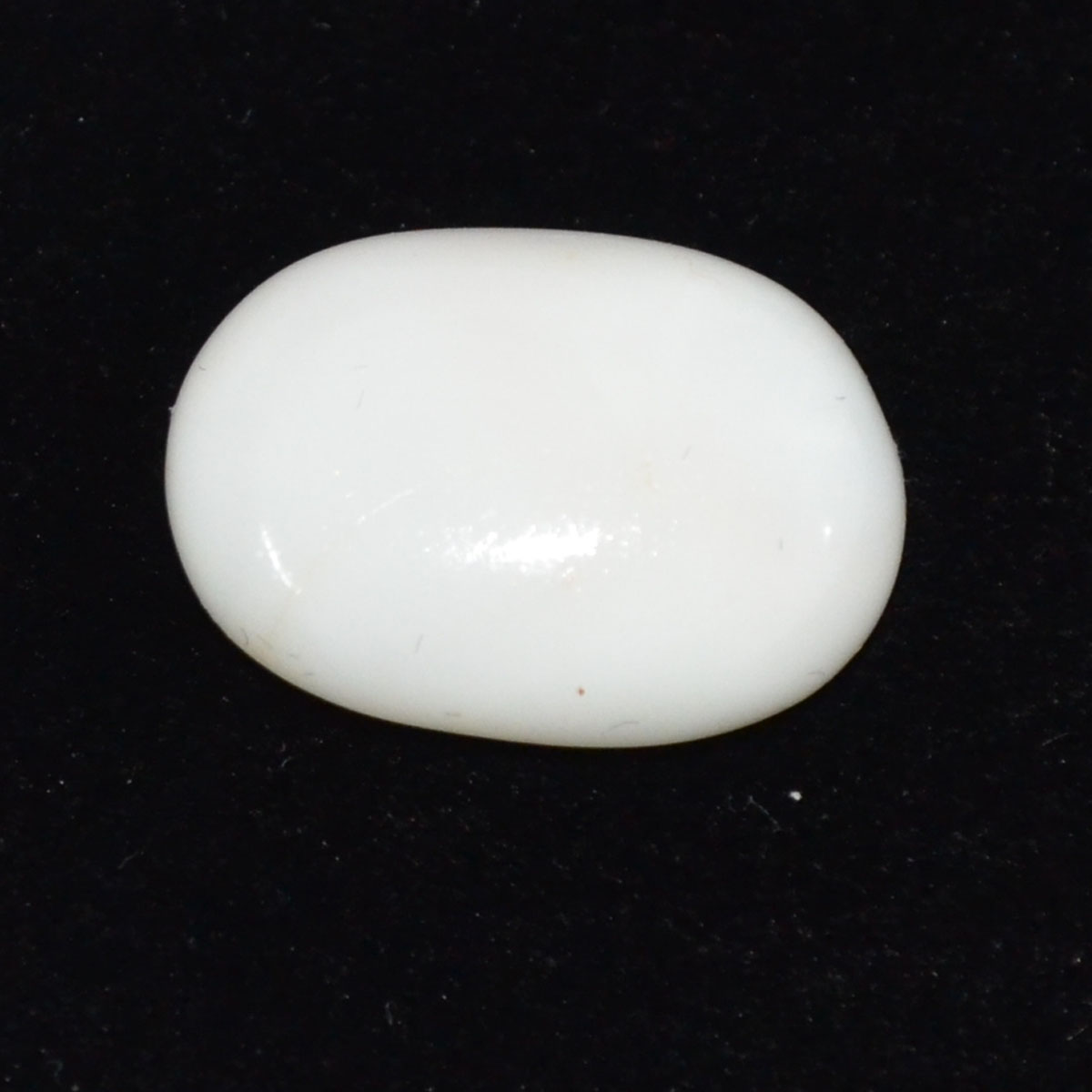 CORAL 14.23 Ct.