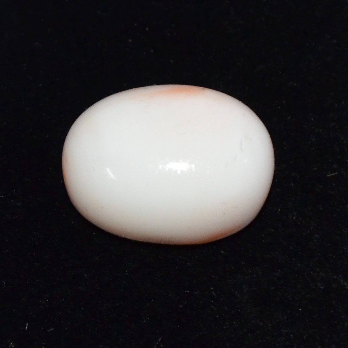 CORAL 19.86 Ct.