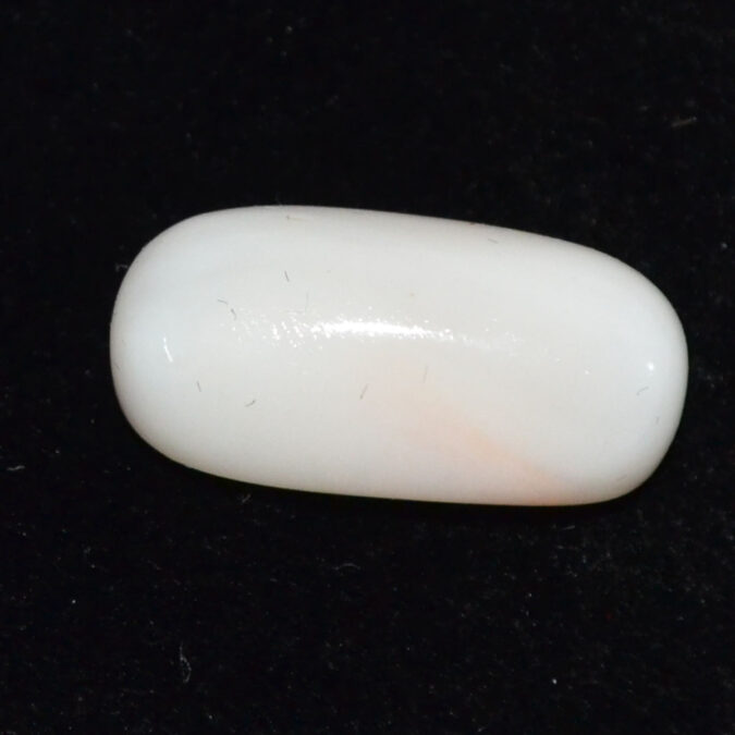 CRL6101 CORAL 13.49 Ct.