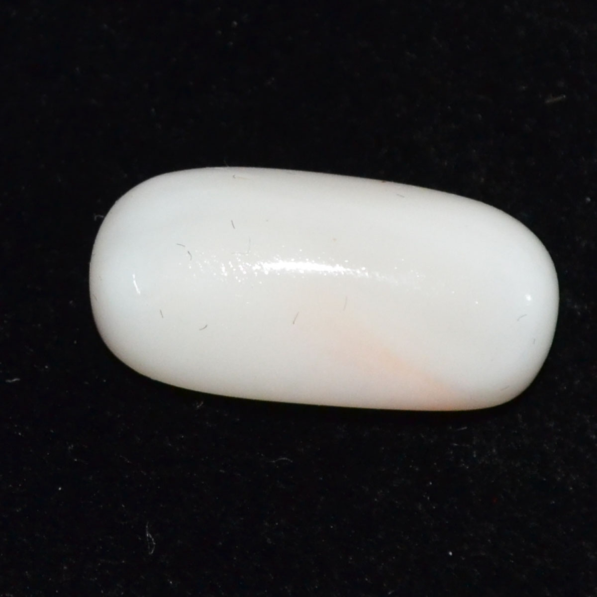 CORAL 13.49 Ct.