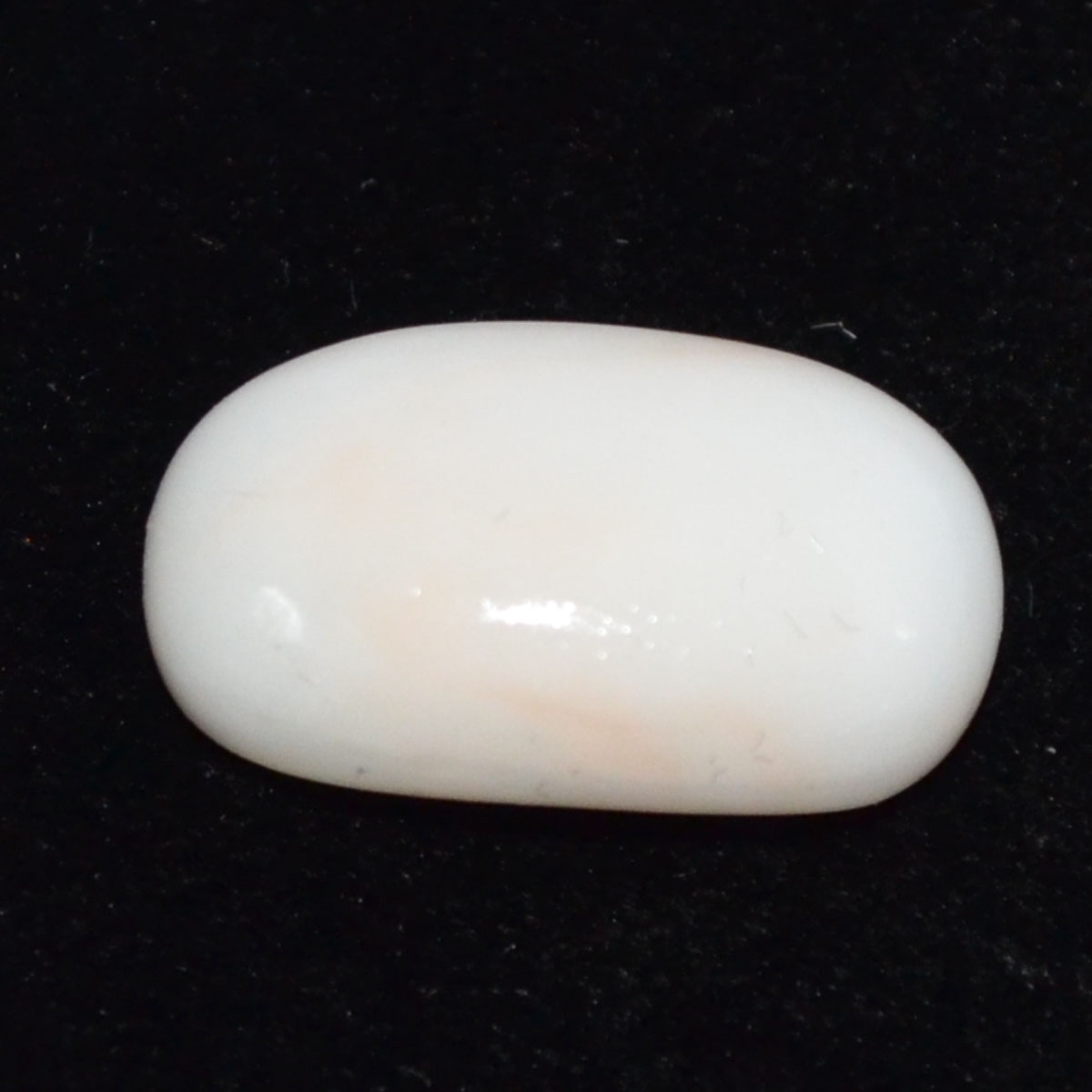 CORAL 11.21 Ct.