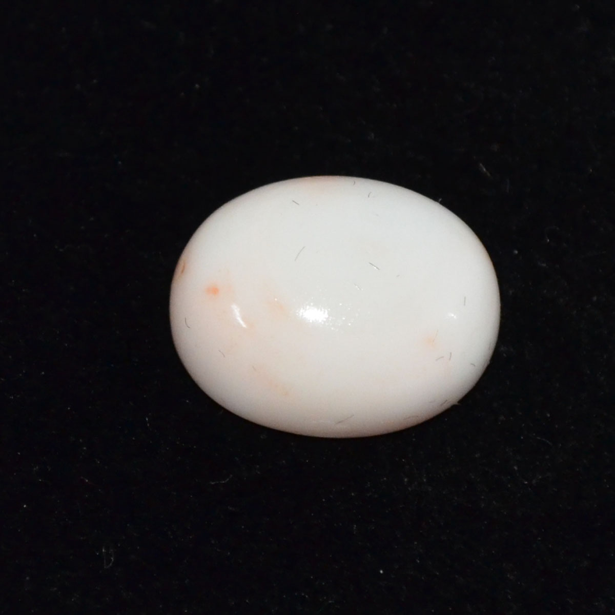 CORAL 10.75 Ct.
