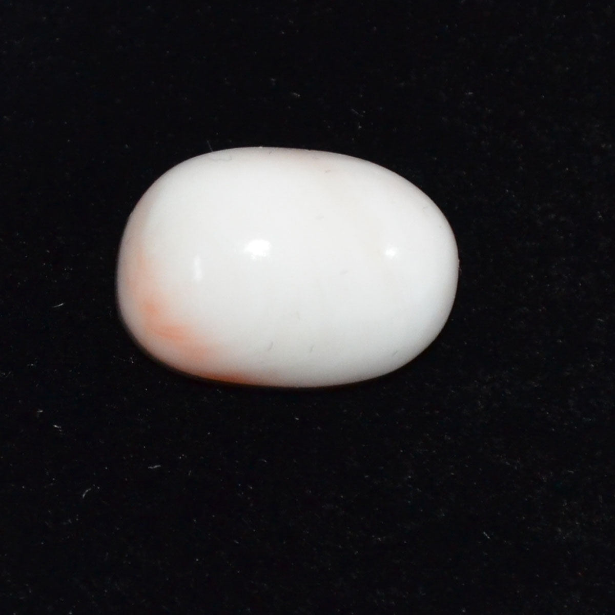 CORAL 15.98 Ct.