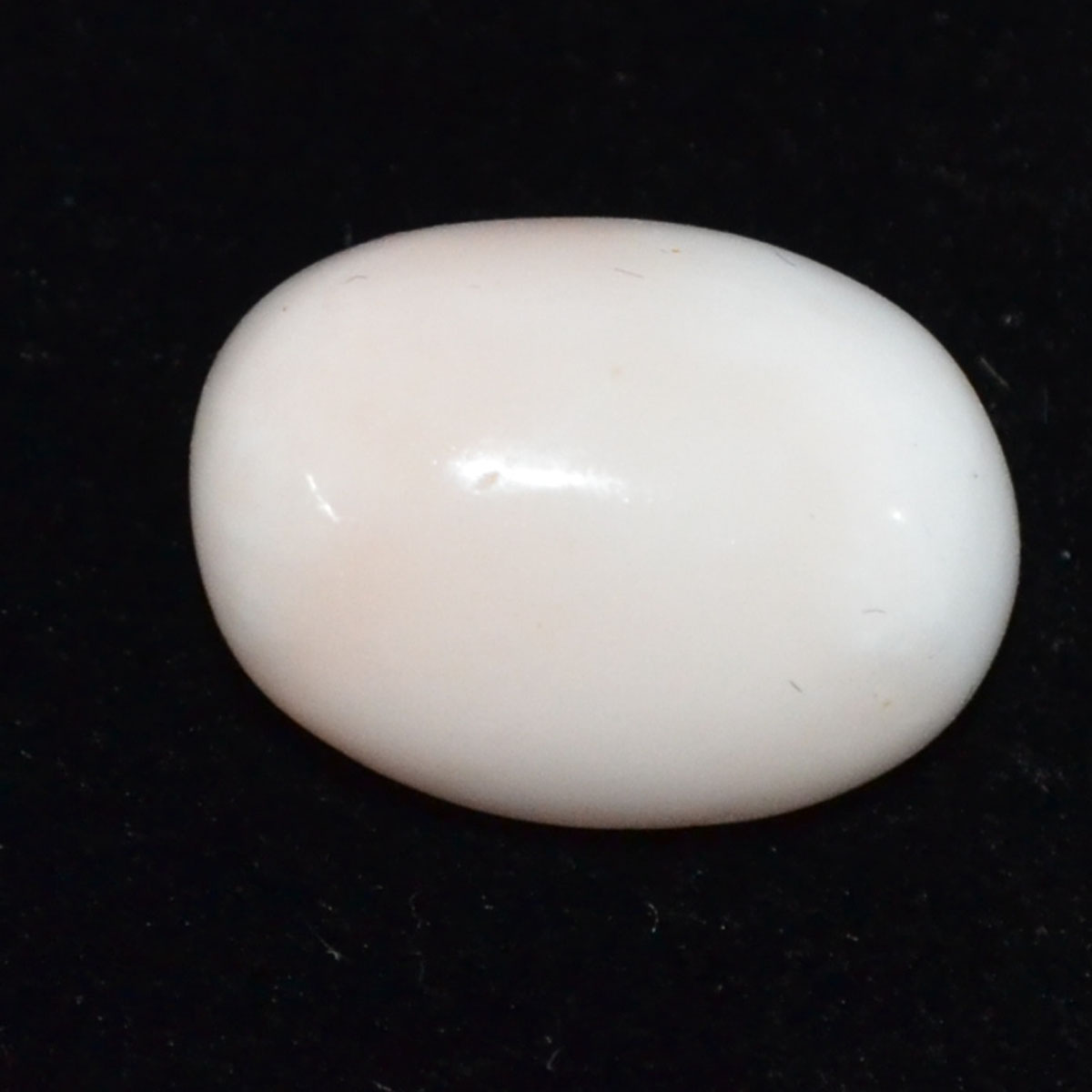 CORAL 17.5 Ct.