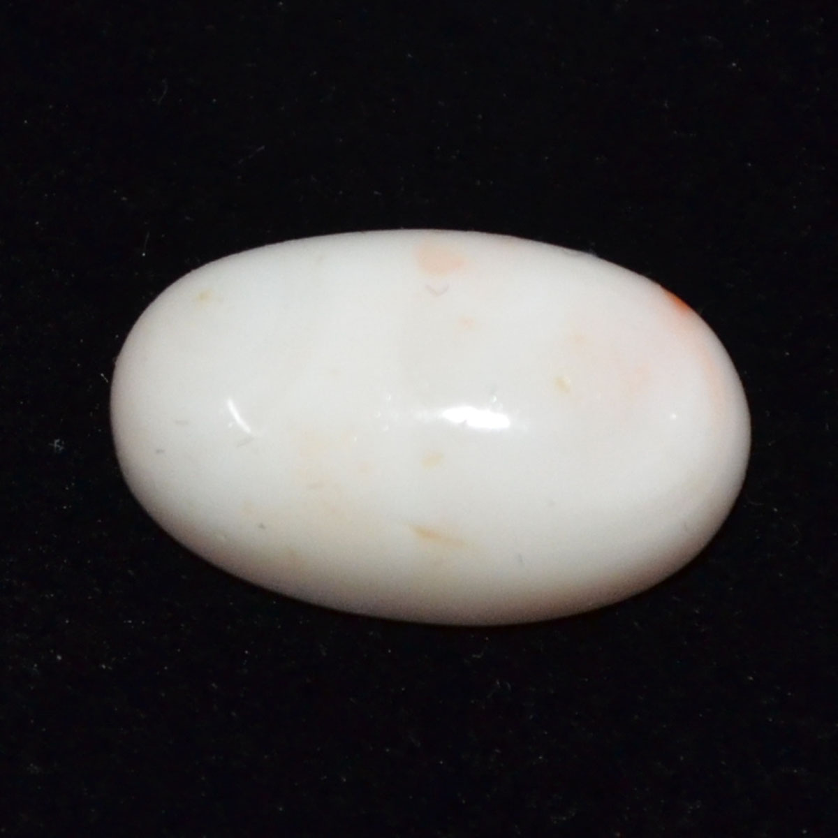 CORAL 14.2 Ct.