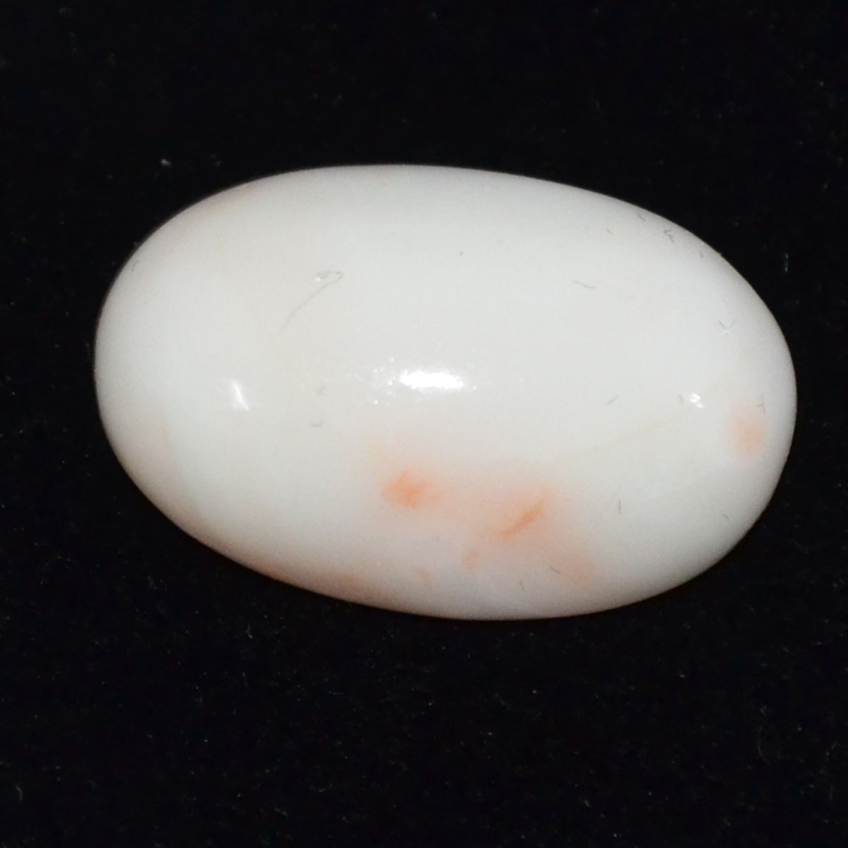 CORAL 19.26 Ct.