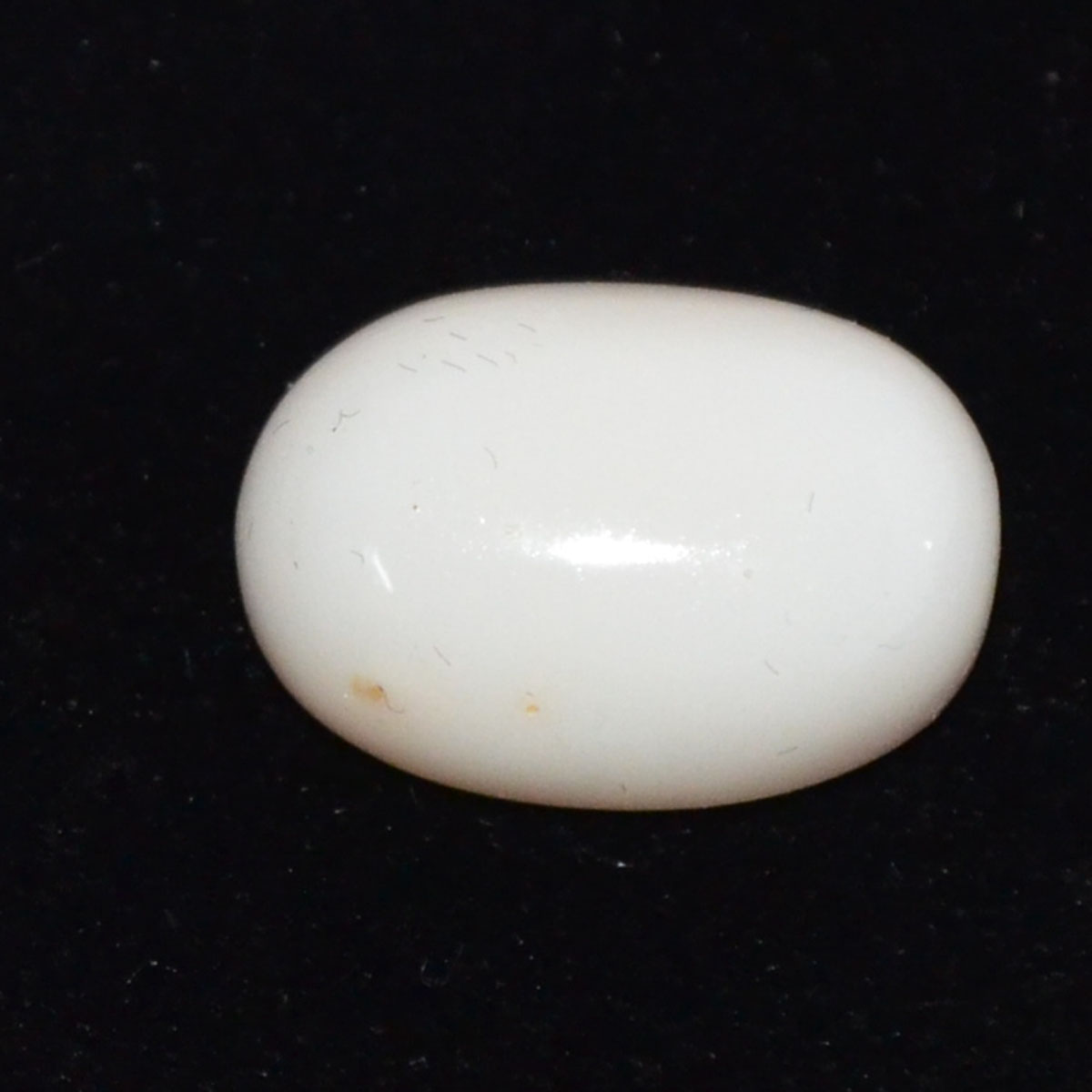 CORAL 11.07 Ct.