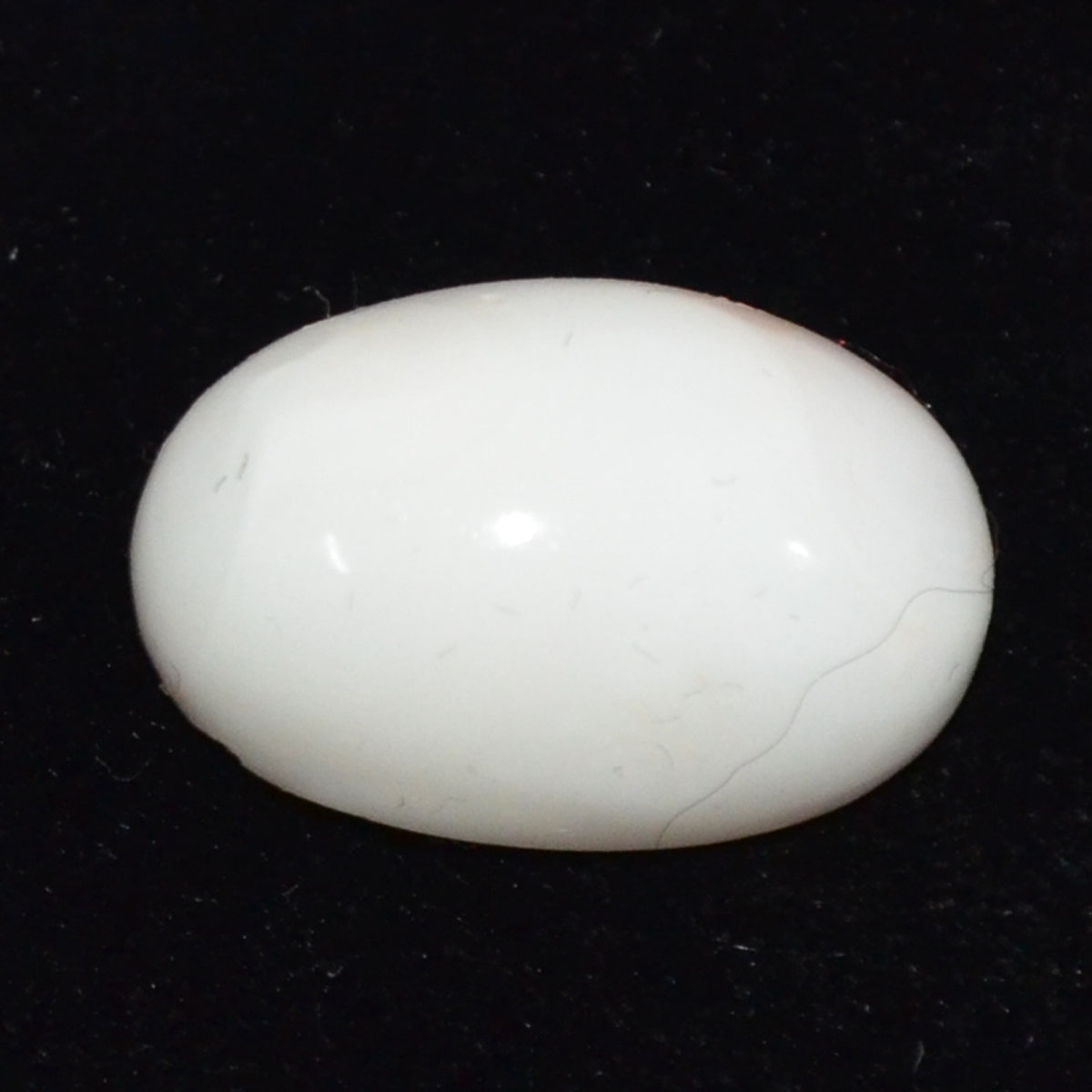 CORAL 18.13 Ct.