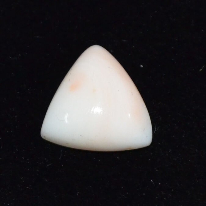 CRL6121 CORAL 8.91 Ct.