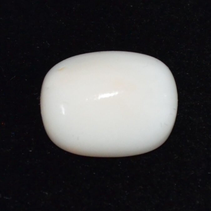 CRL6141 CORAL 12.39 Ct.