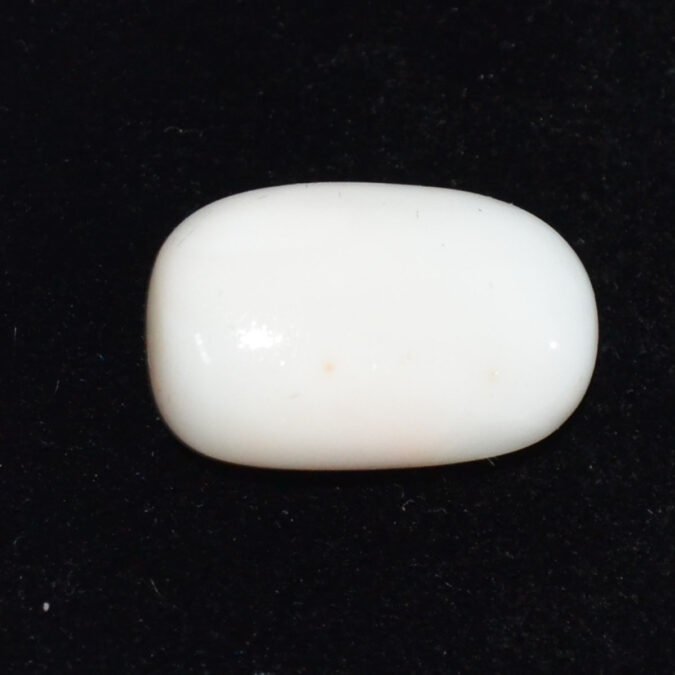 CRL6147 CORAL 19.82 Ct.