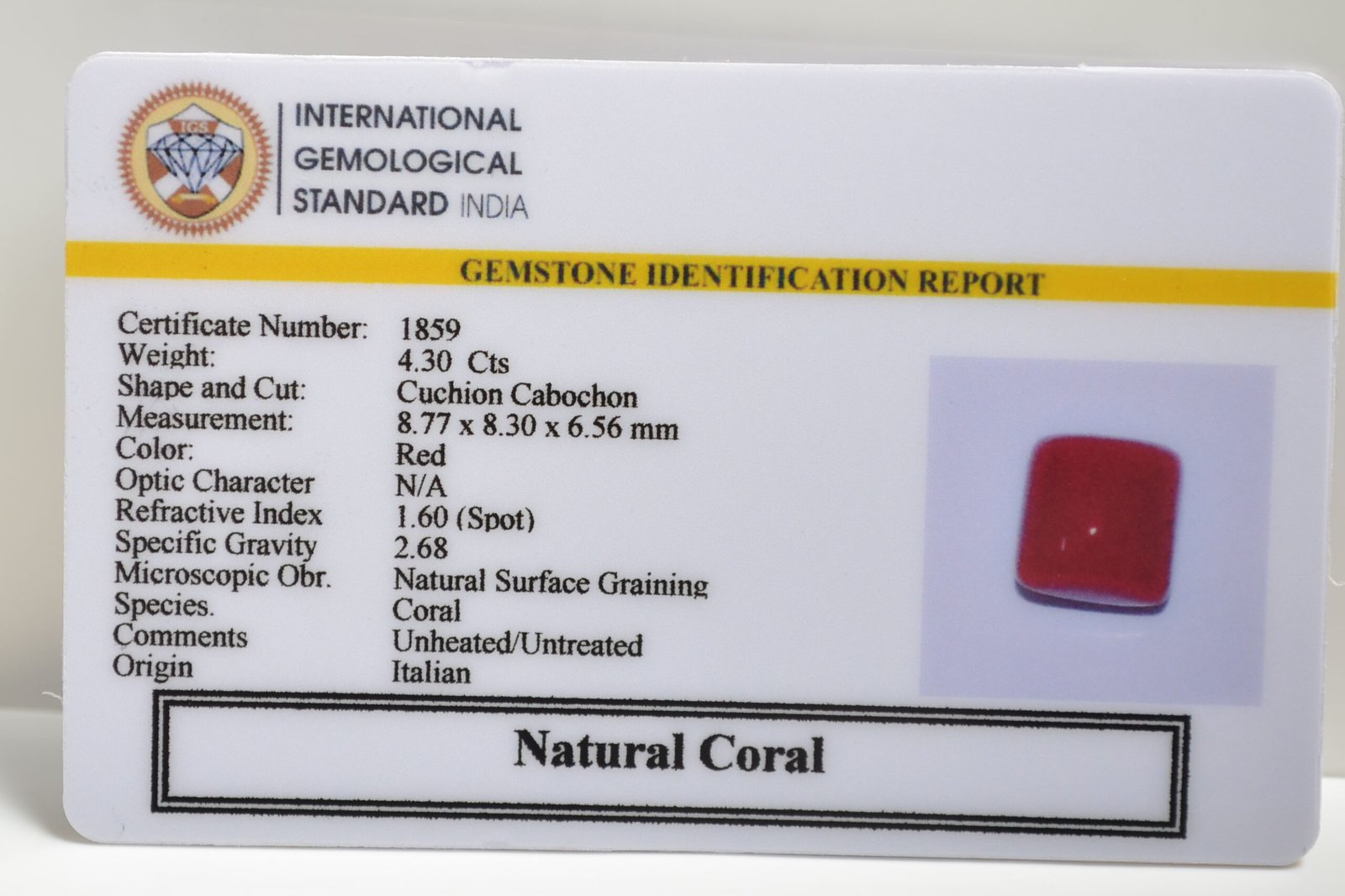 CRLG6013 1 scaled CORAL 4.3 Ct.