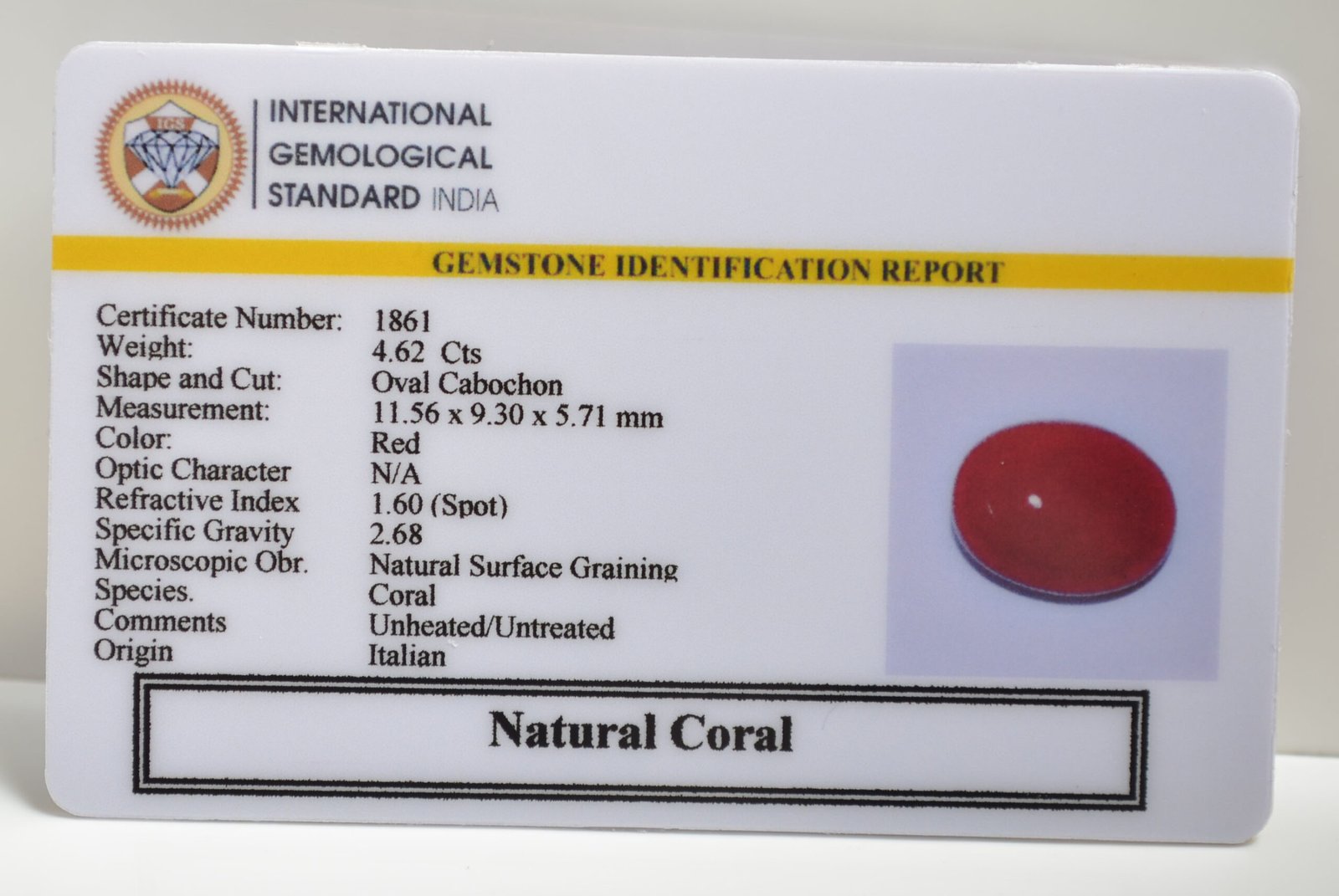 CRLG6015 1 scaled CORAL 4.62 Ct.