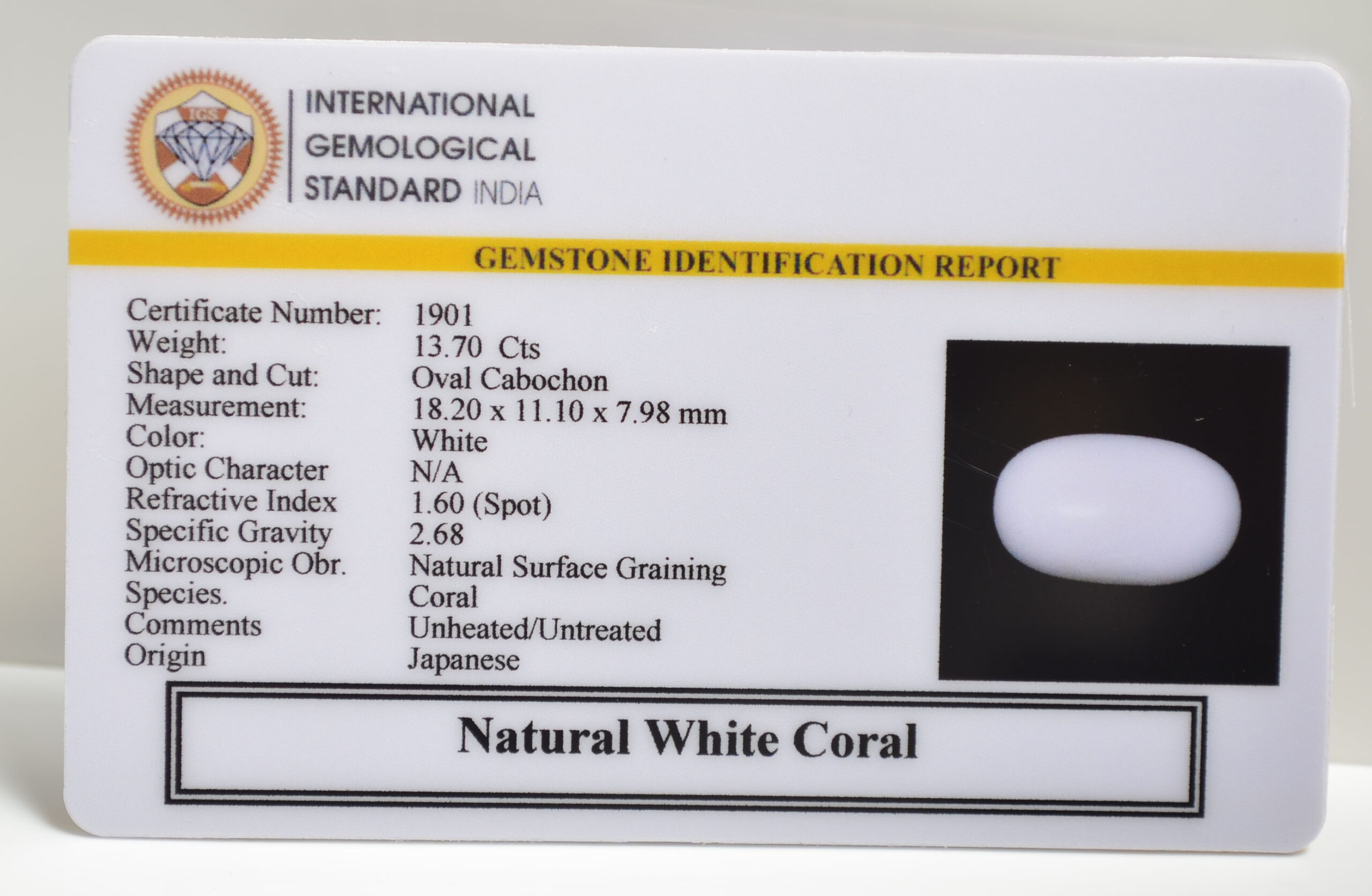 CRLG6019 1 scaled CORAL 13.7 Ct.