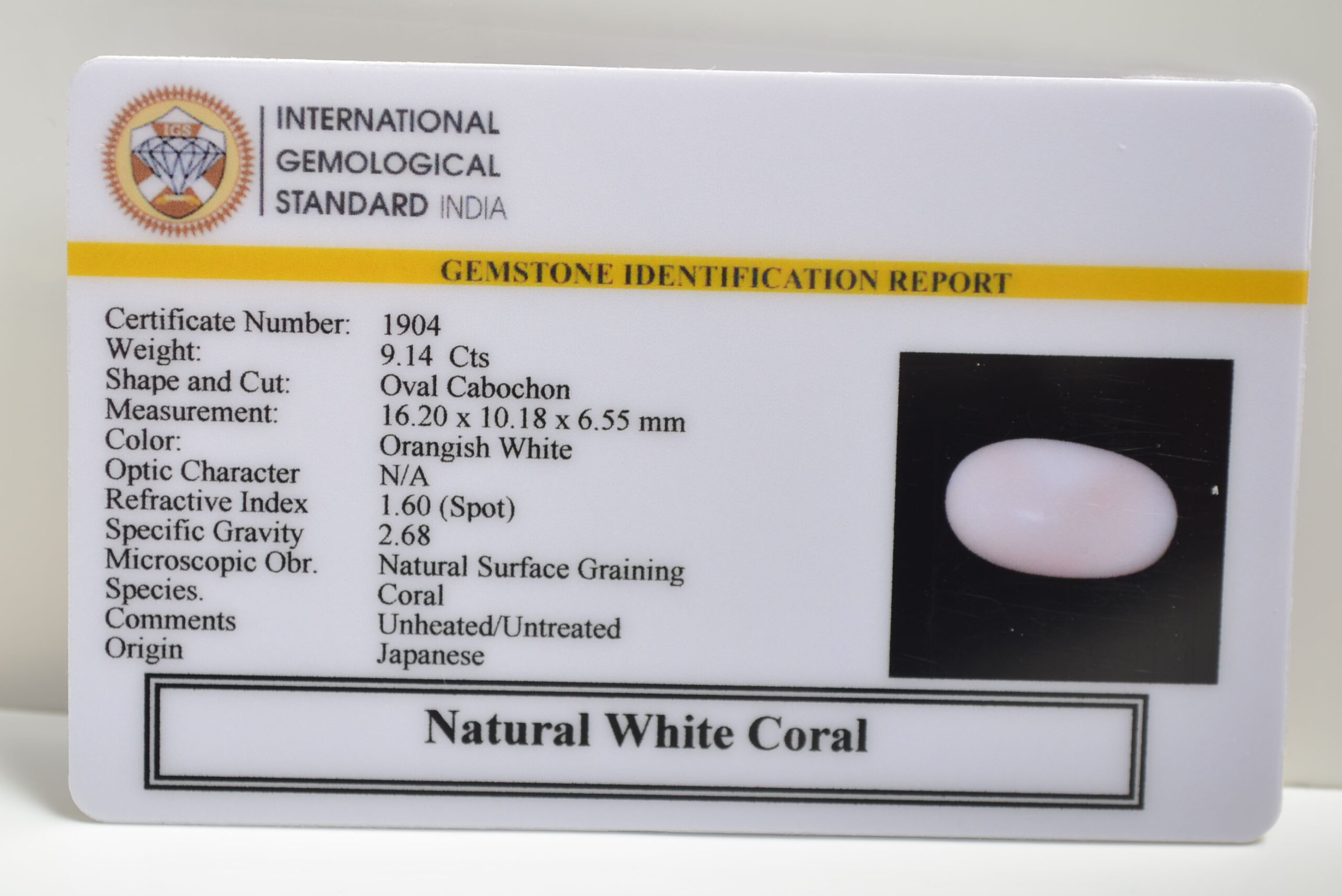 CORAL 9.14 Ct. 3 CRLG6021 1 scaled CORAL 9.14 Ct.