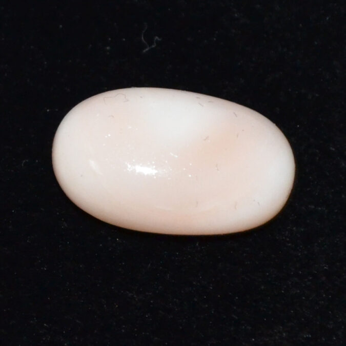 CORAL 9.14 Ct. 1 CRLG6021 CORAL 9.14 Ct.