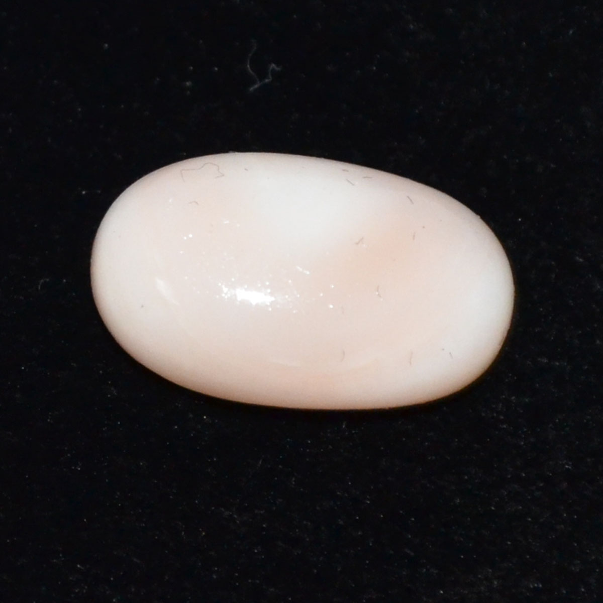 CORAL 9.14 Ct.