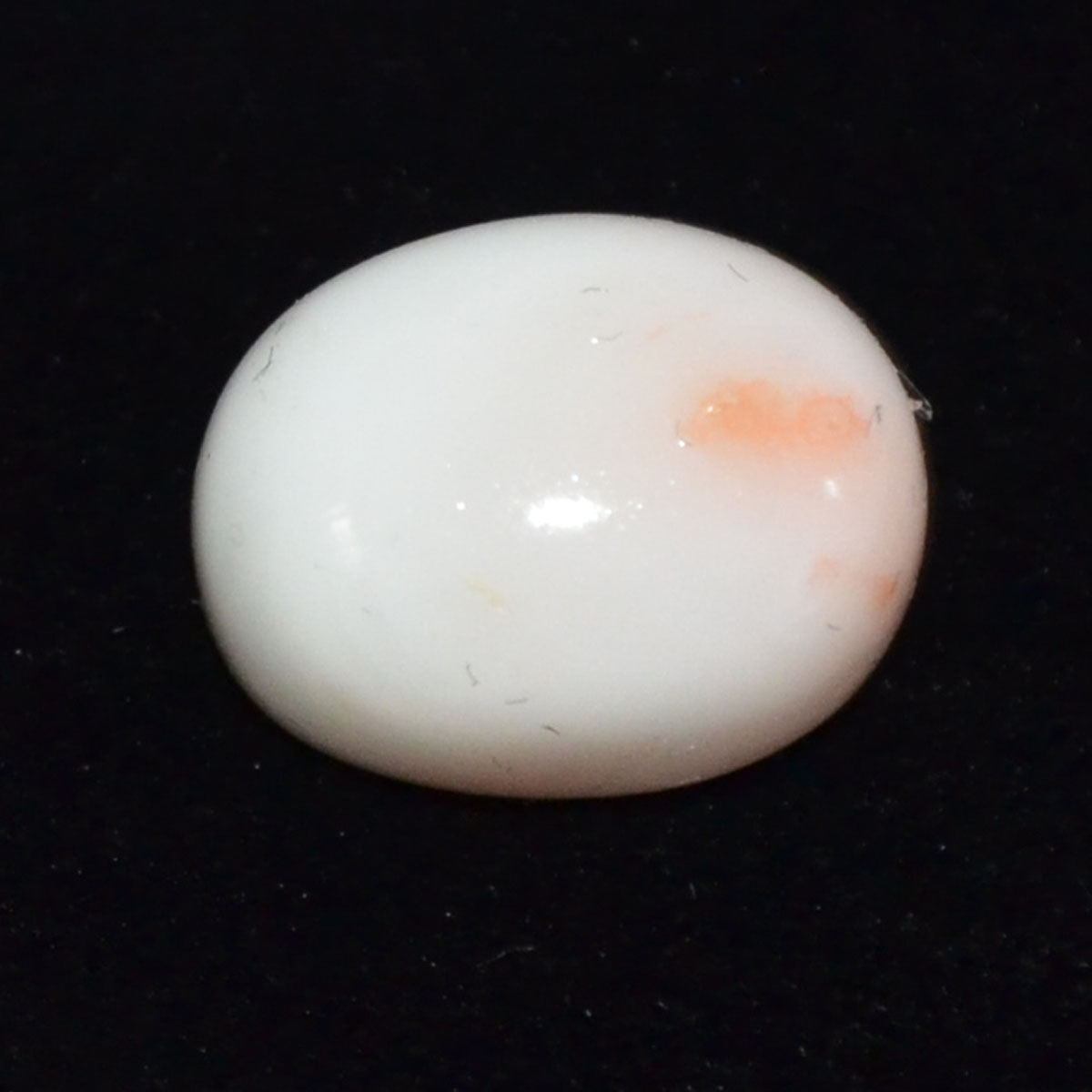 CORAL 8.11 Ct.