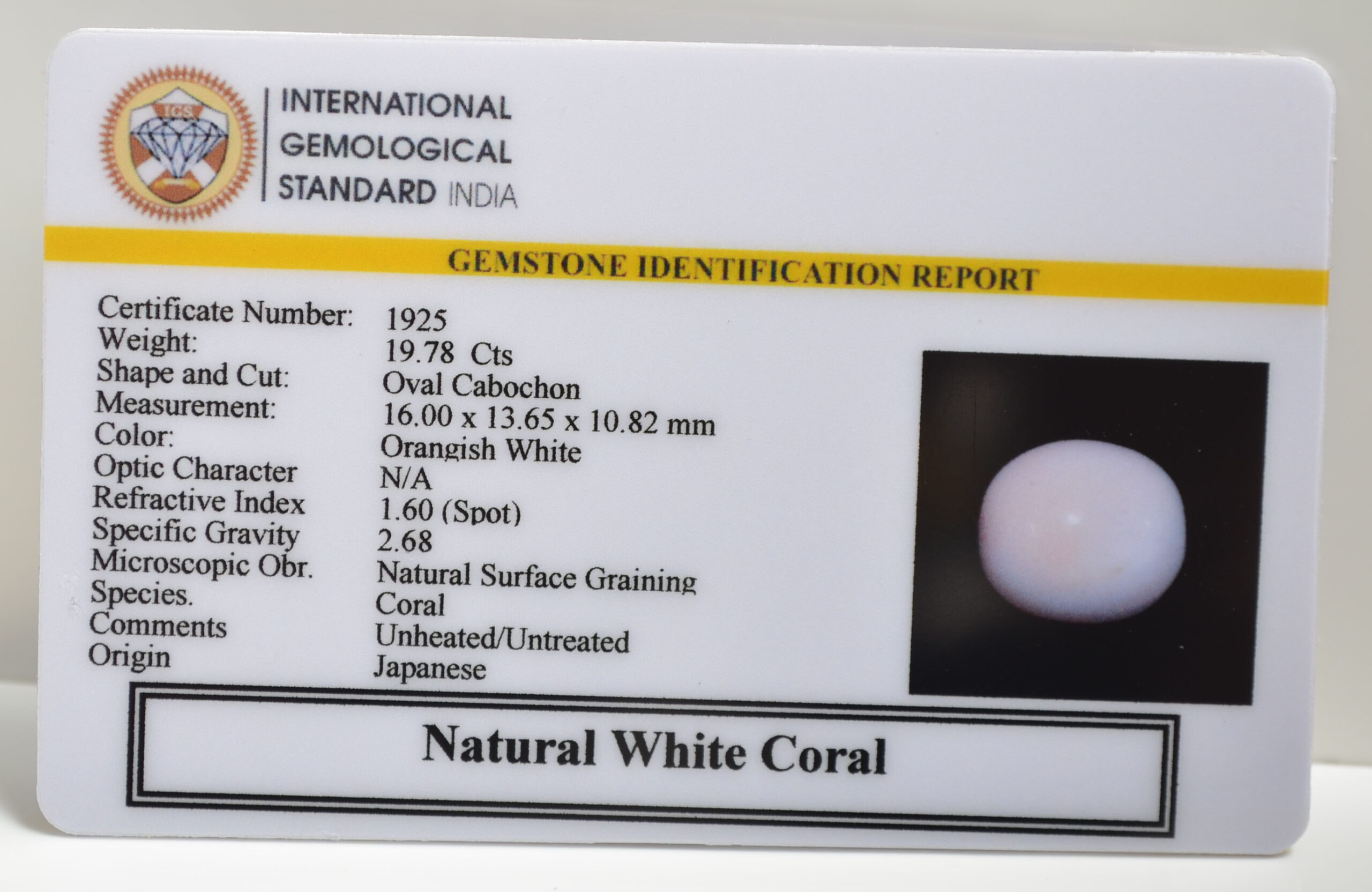 CRLG6025 1 scaled CORAL 19.78 Ct.