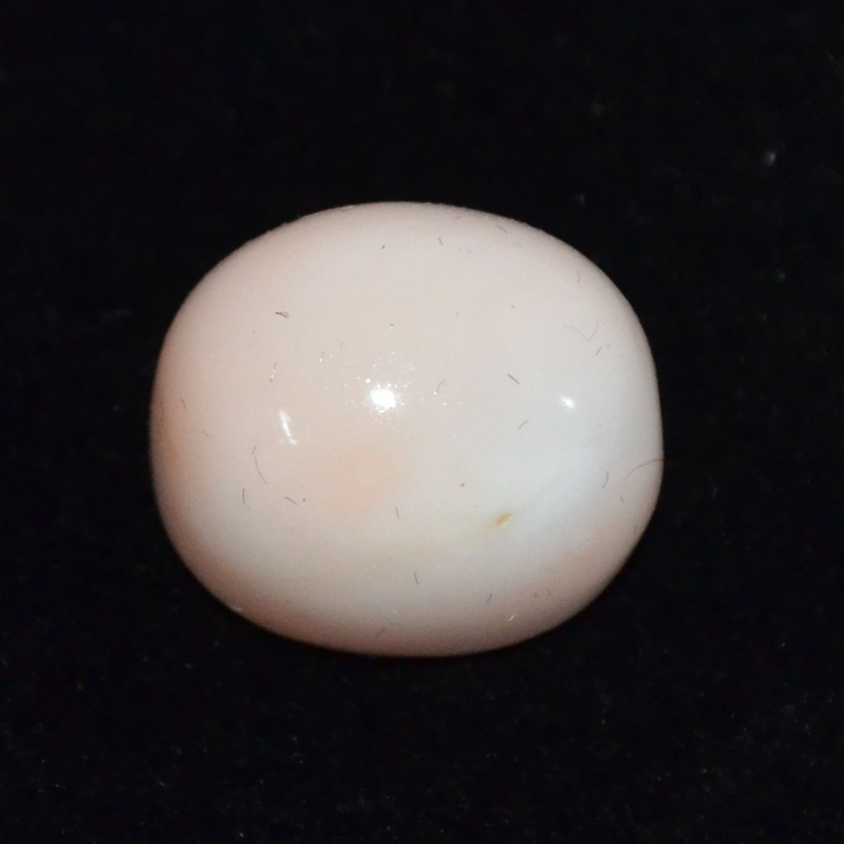 CORAL 19.78 Ct.