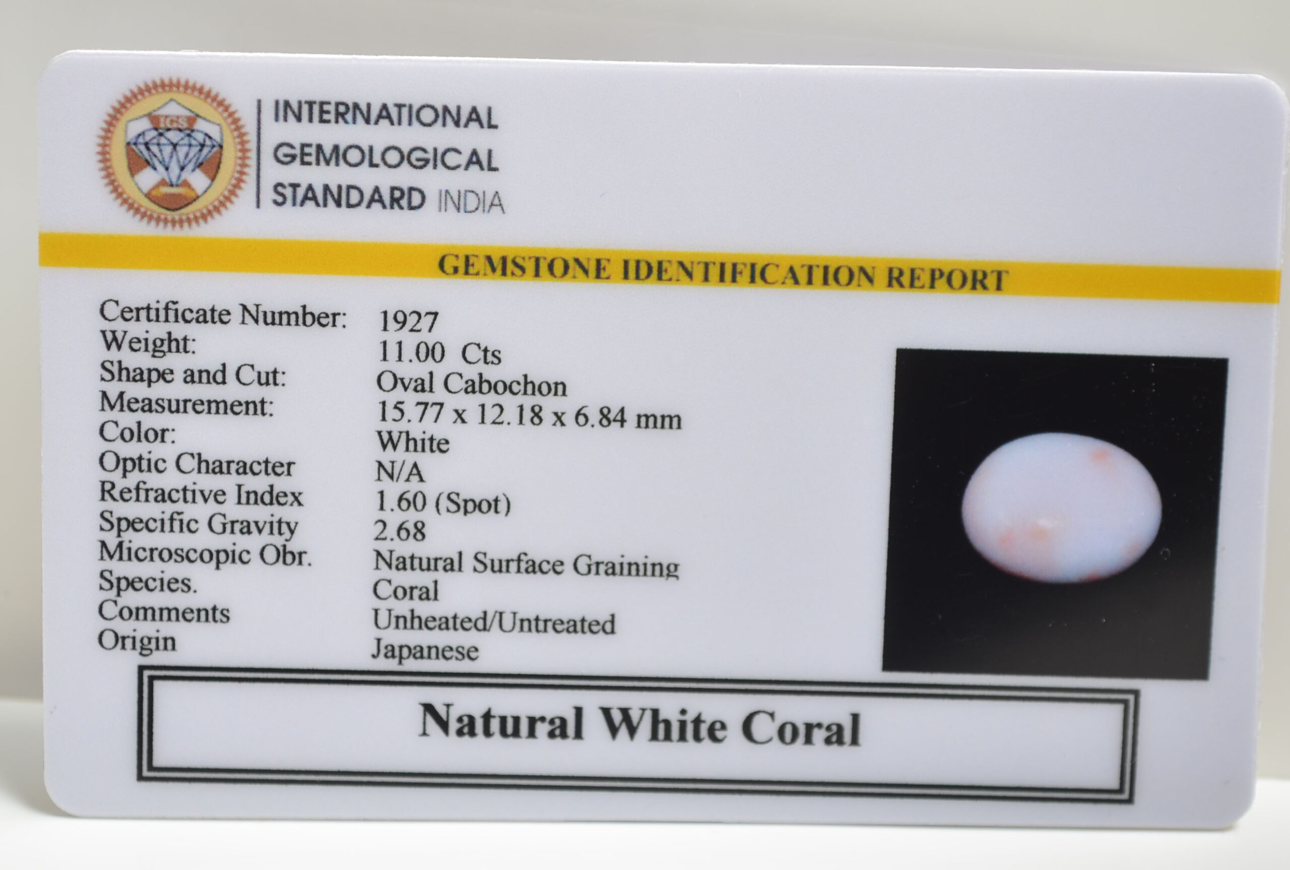 CRLG6027 1 scaled CORAL 11 Ct.