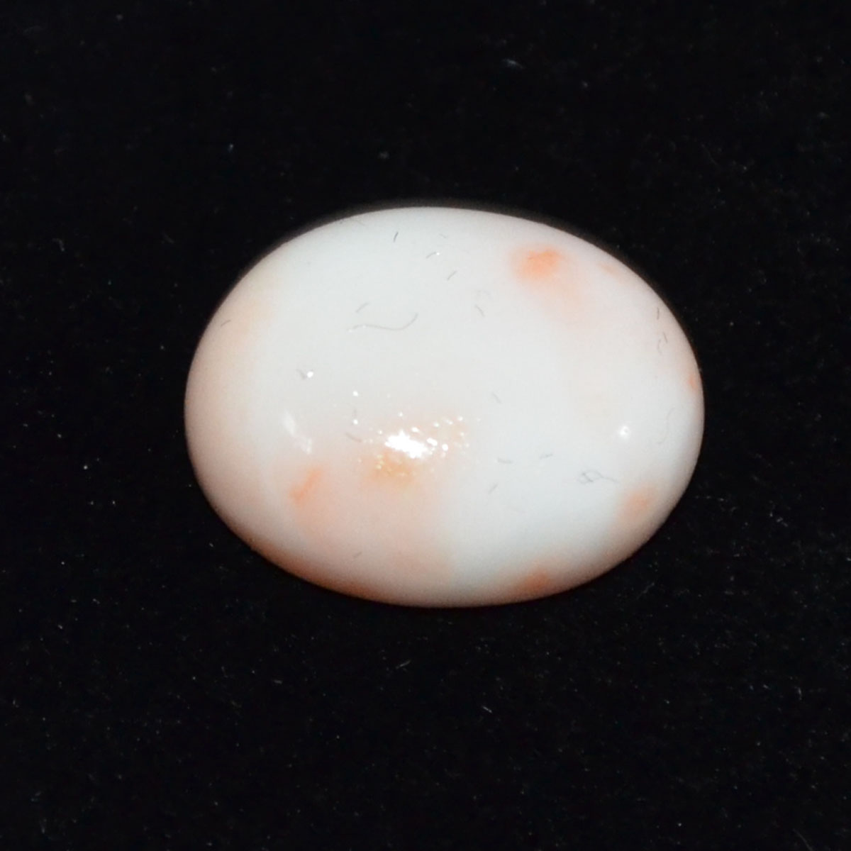 CORAL 11 Ct.