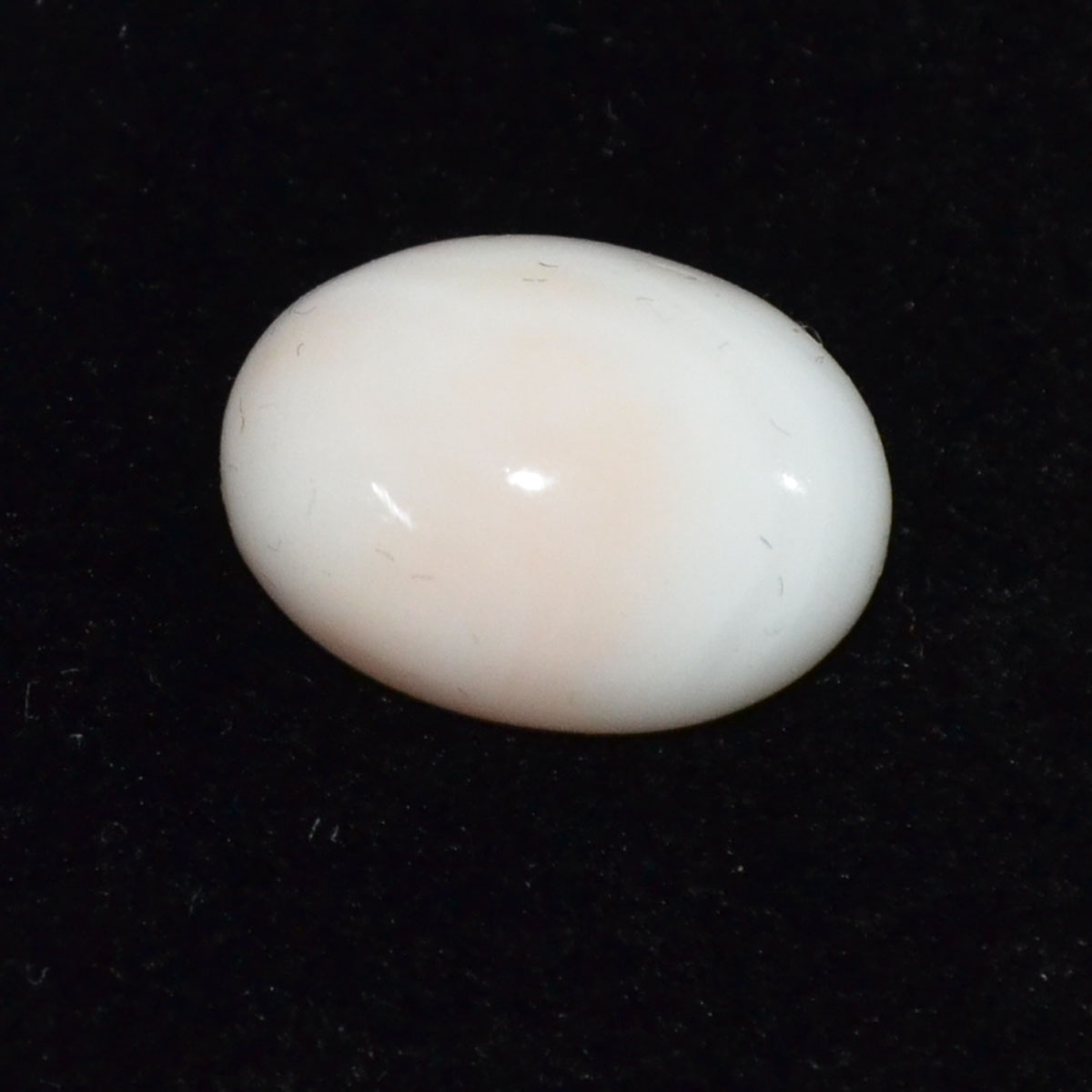 CORAL 10.35 Ct.