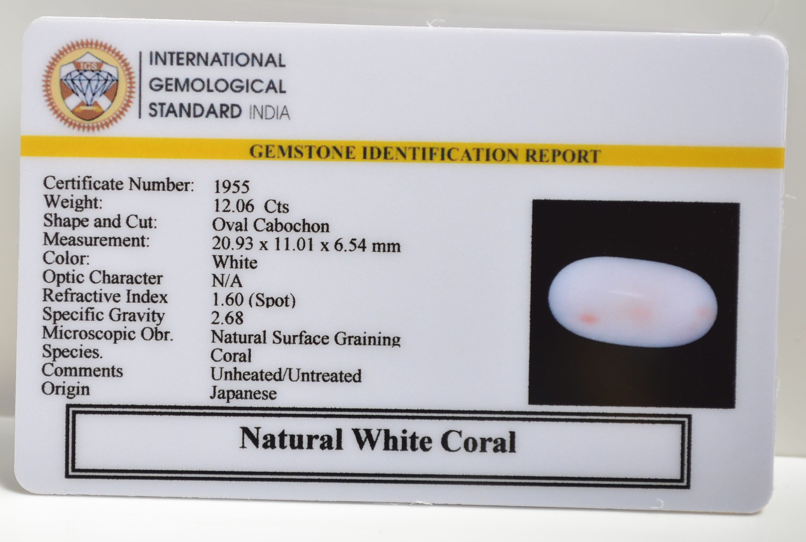 CRLG6033 1 scaled CORAL 12.06 Ct.