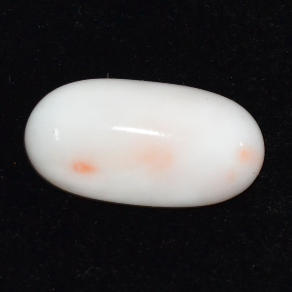 CORAL 12.06 Ct.