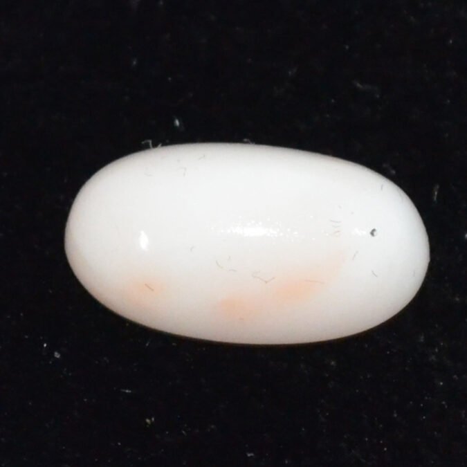 CRLG6037 CORAL 6.45 Ct.
