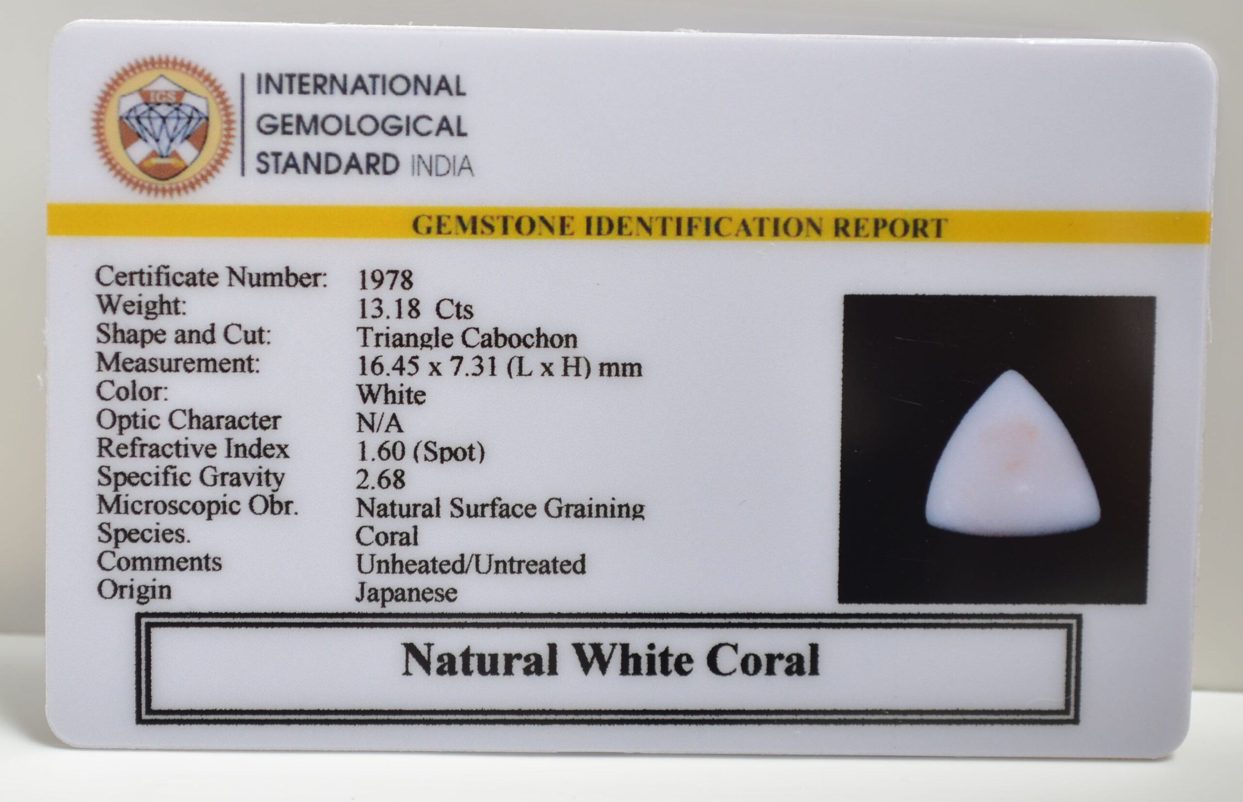 CRLG6039 1 scaled CORAL 13.18 Ct.