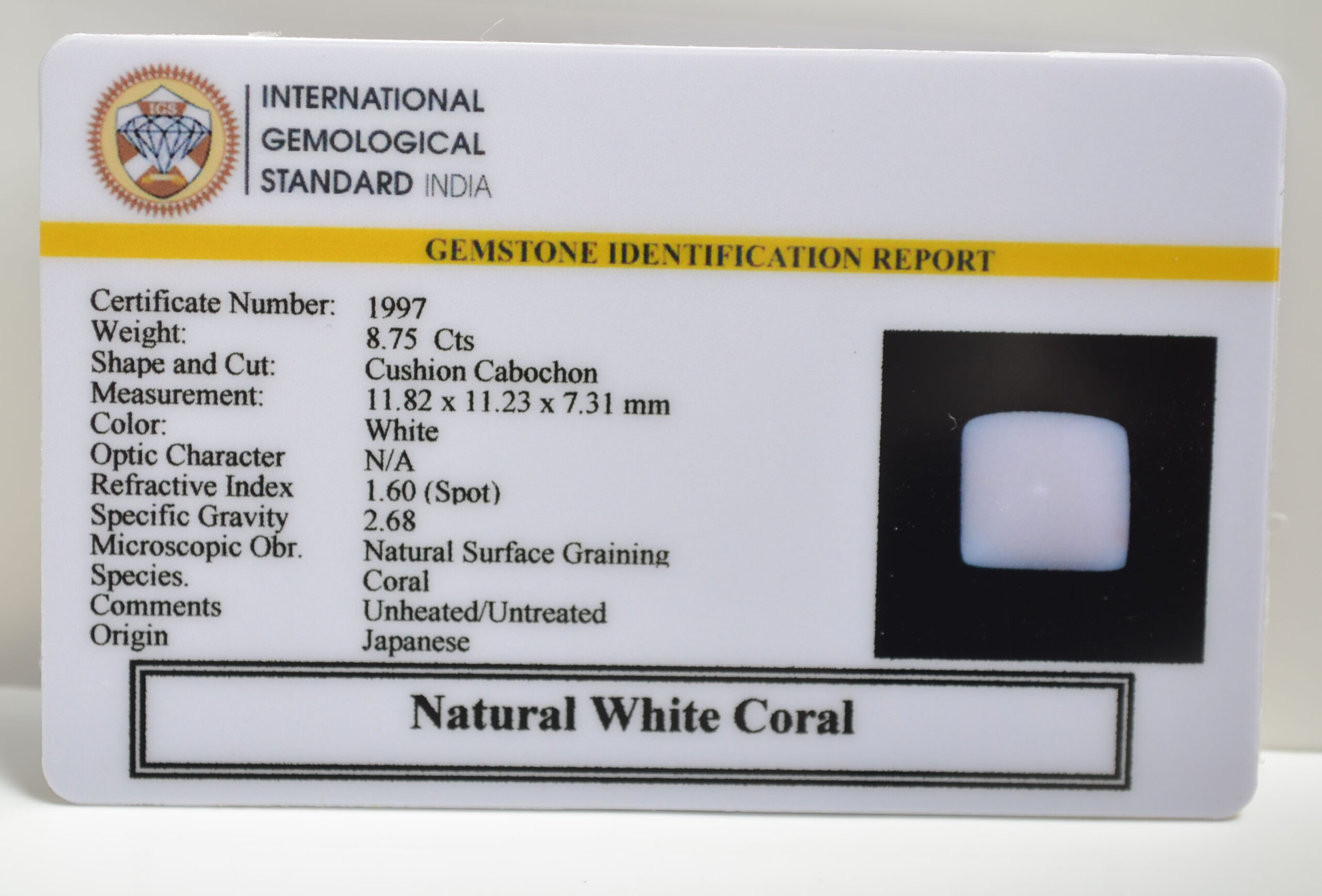 CRLG6042 1 scaled CORAL 8.75 Ct.
