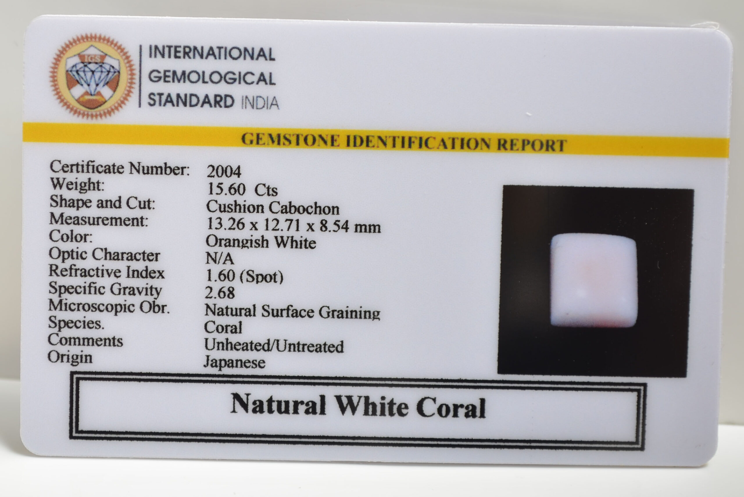 CRLG6045 1 scaled CORAL 15.6 Ct.