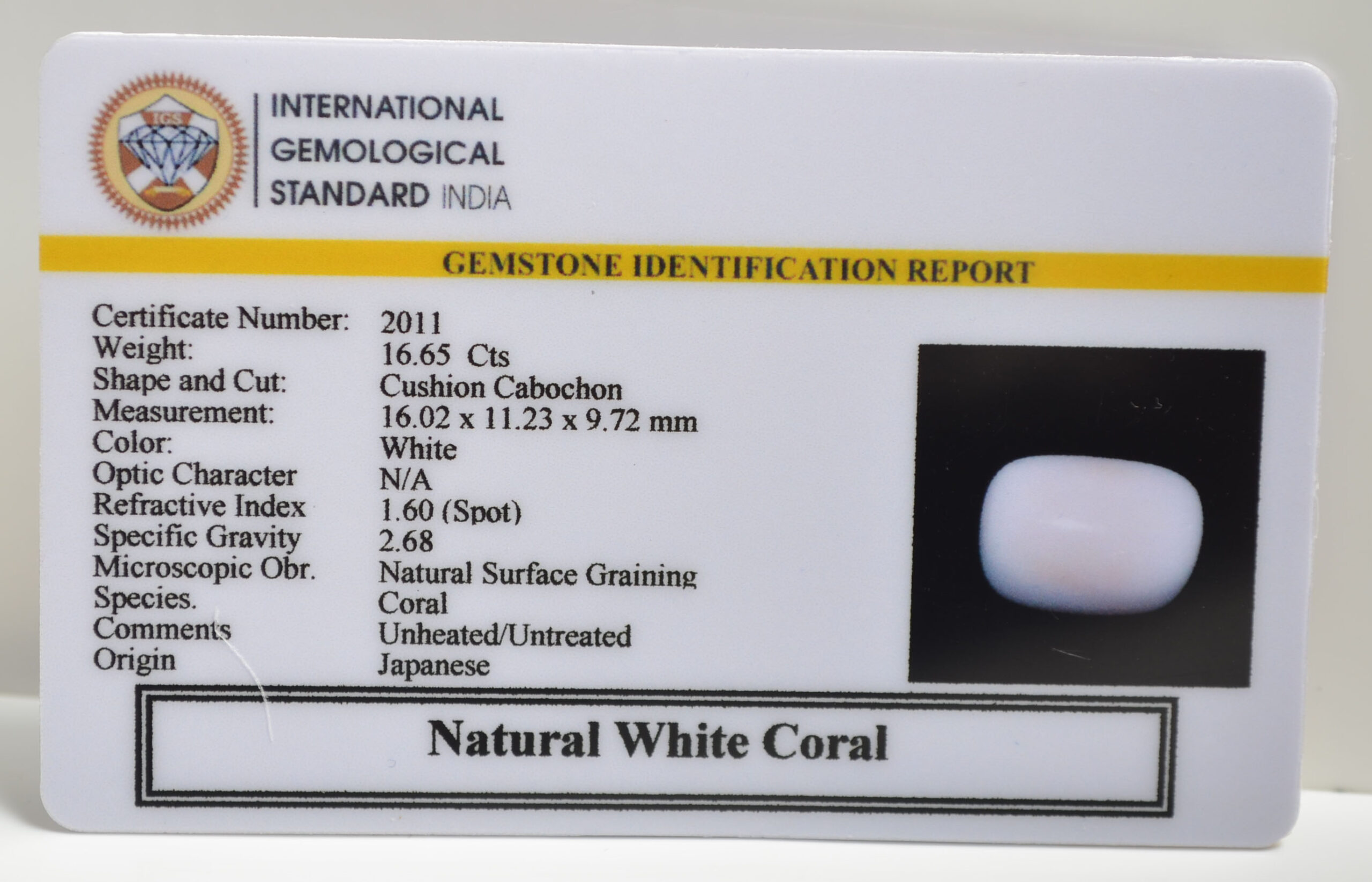 CRLG6048 1 scaled CORAL 16.65 Ct.