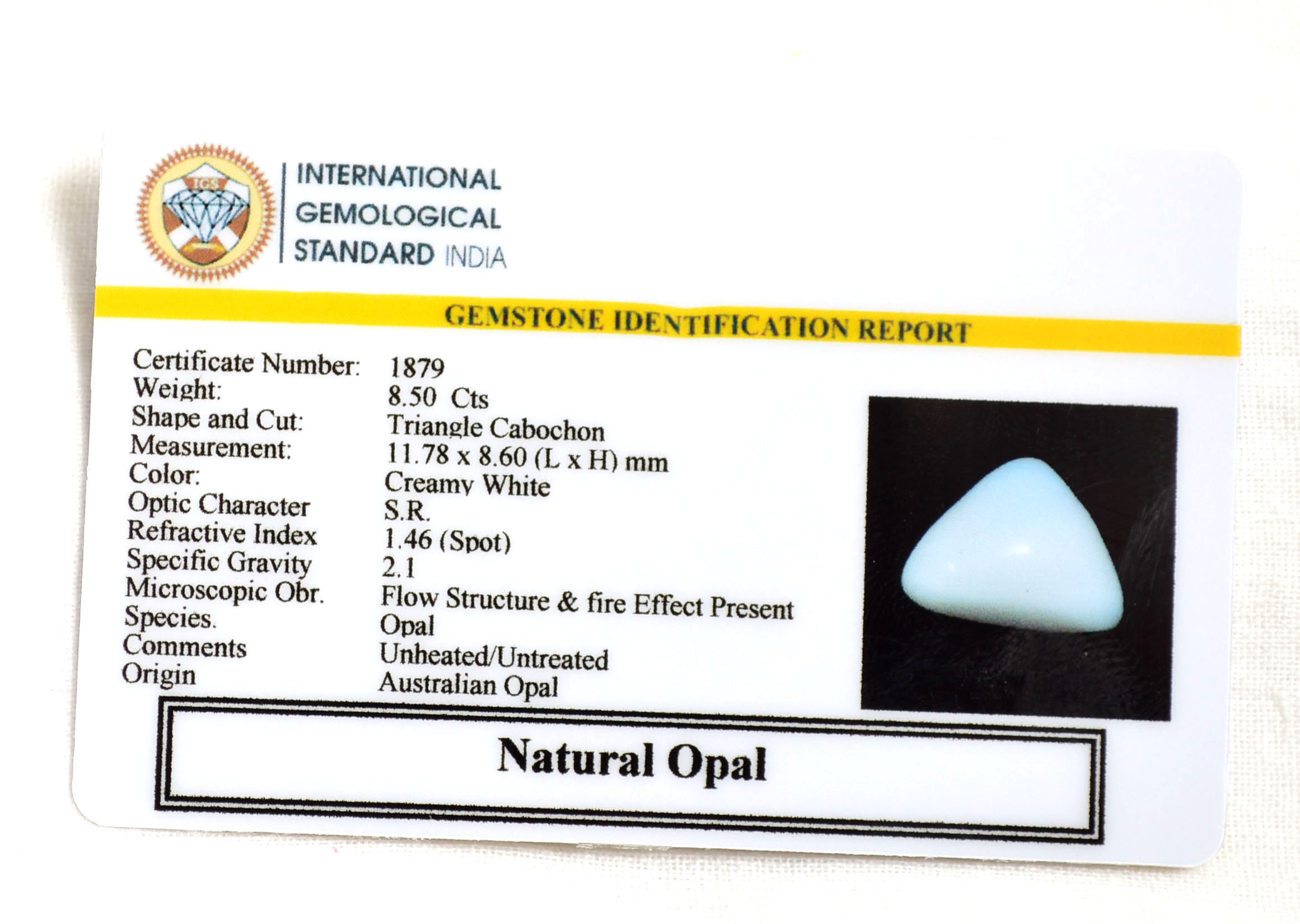 OPL9113 2 OPAL 8.5 Ct.