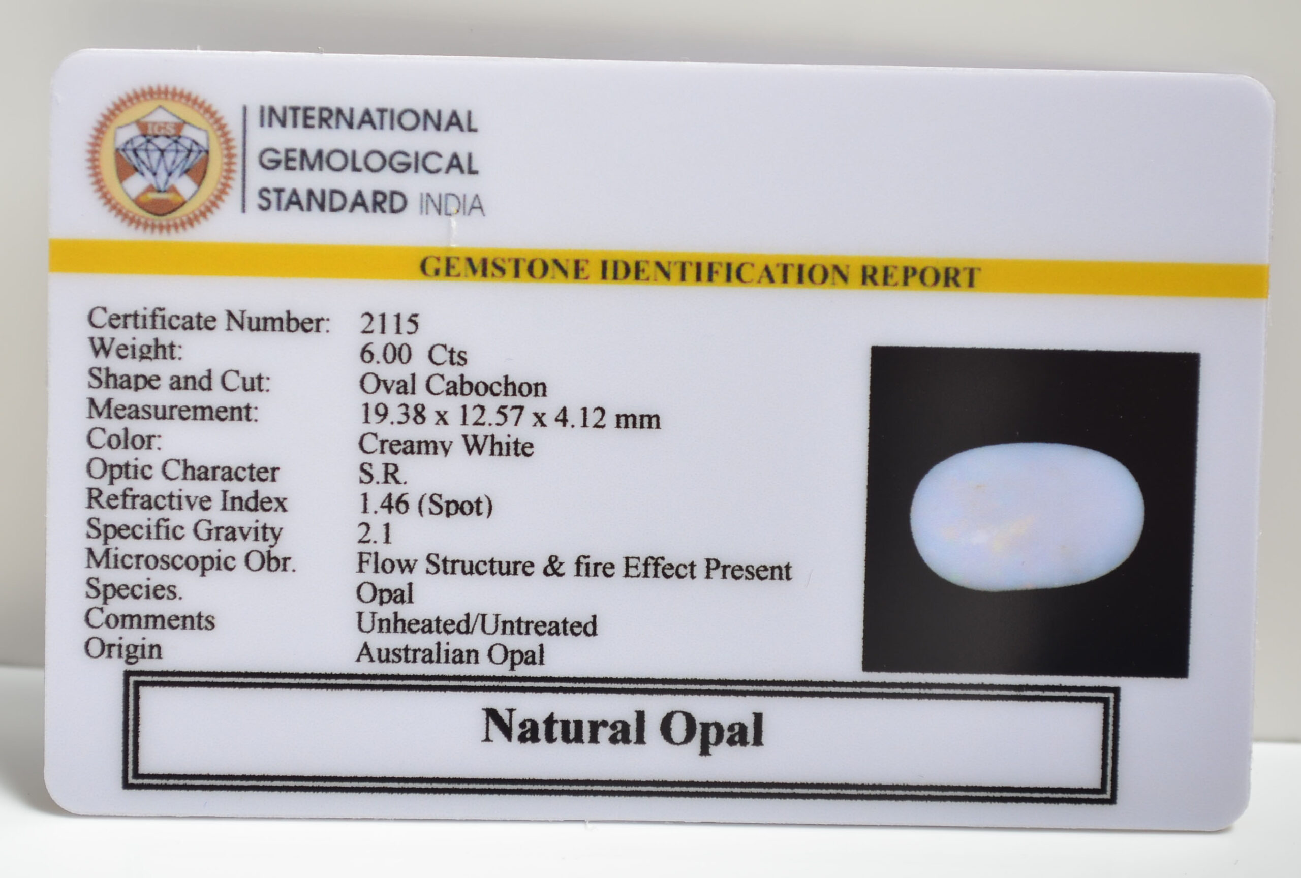 OPAL 6 Ct. 3 OPLG8804 1 scaled OPAL 6 Ct.