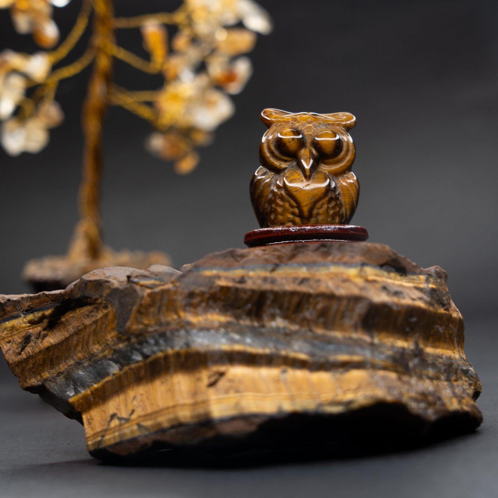 Tiger eye owl 3 scaled Tiger's Eye Owl