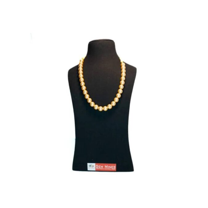 fgdsf 1 High Quality Golden Shell Pearl Necklace
