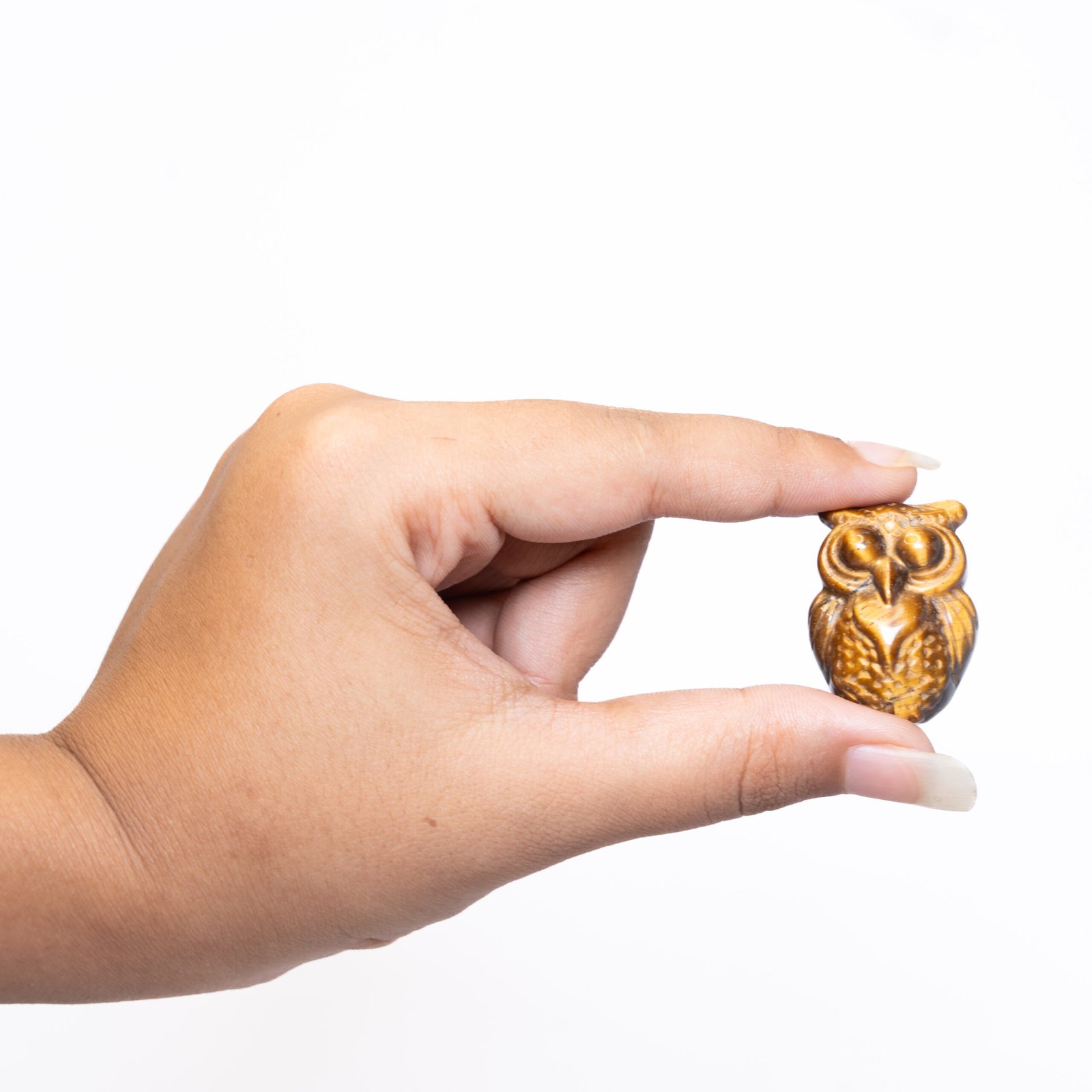 tiger eye owl 2 scaled Tiger's Eye Owl