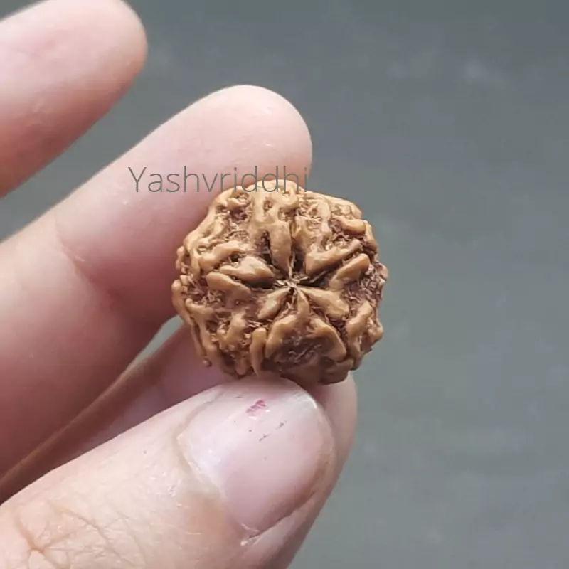 1 Mukhi Gol Nepali regular 1 Mukhi Gol Nepali (Under Develop) Regular