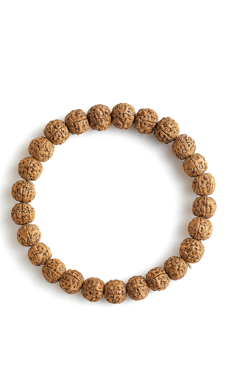 2 Rudraksha Bracelet