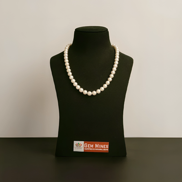 White Pearl High Quality Shell Pearls Necklace