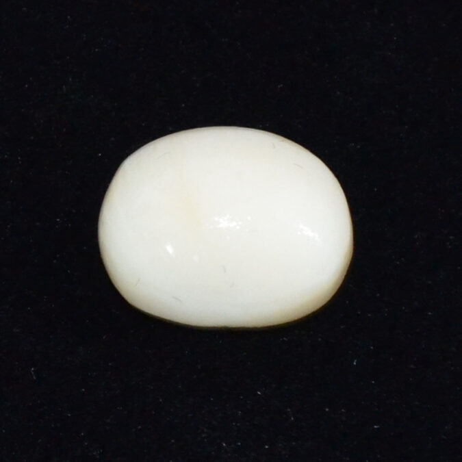 CRL6224 CORAL 6.92 Ct.
