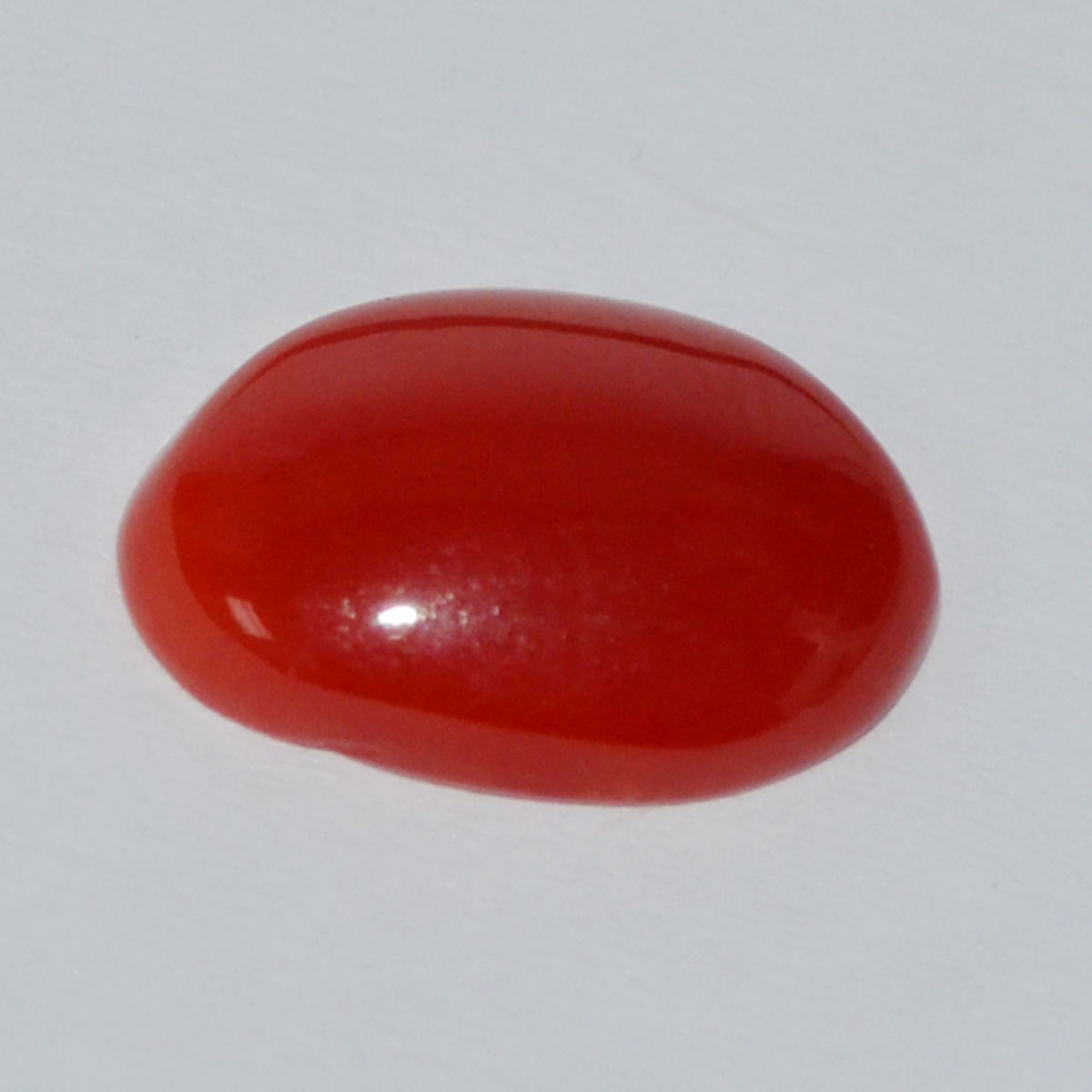 CORAL 3.46 Ct.