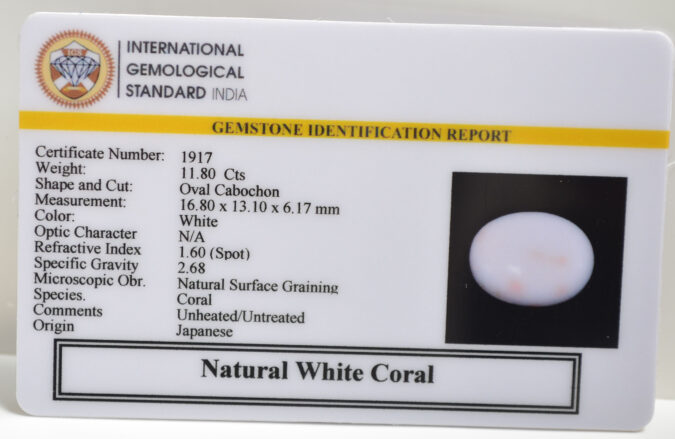 CRLG6023 1 CORAL 11.8 Ct.