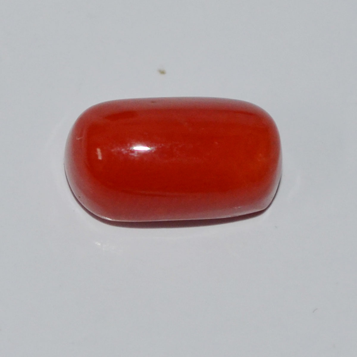 CORAL 6.1 Ct.