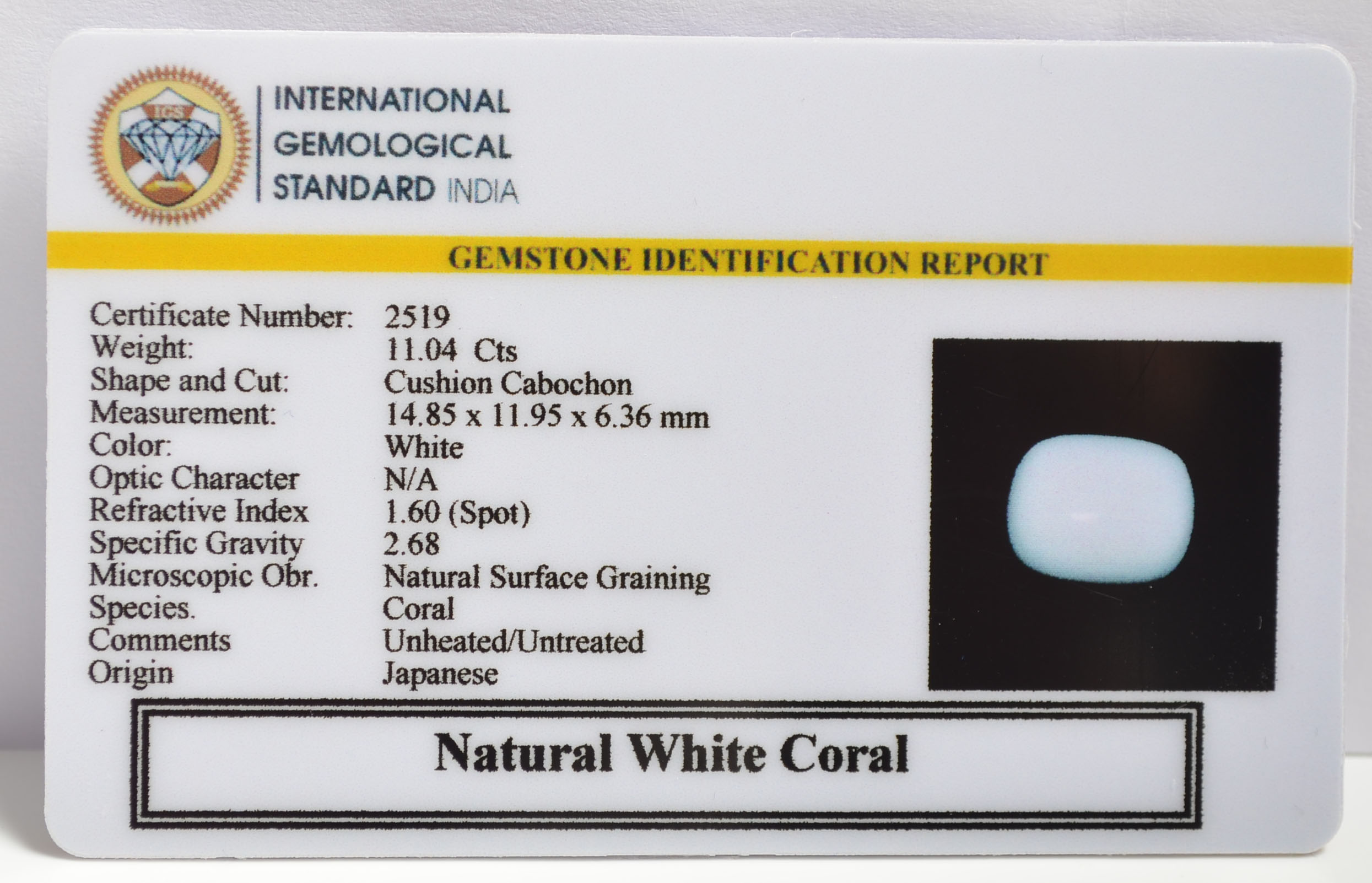 CRLG6087 1 1 CORAL 11.04 Ct.