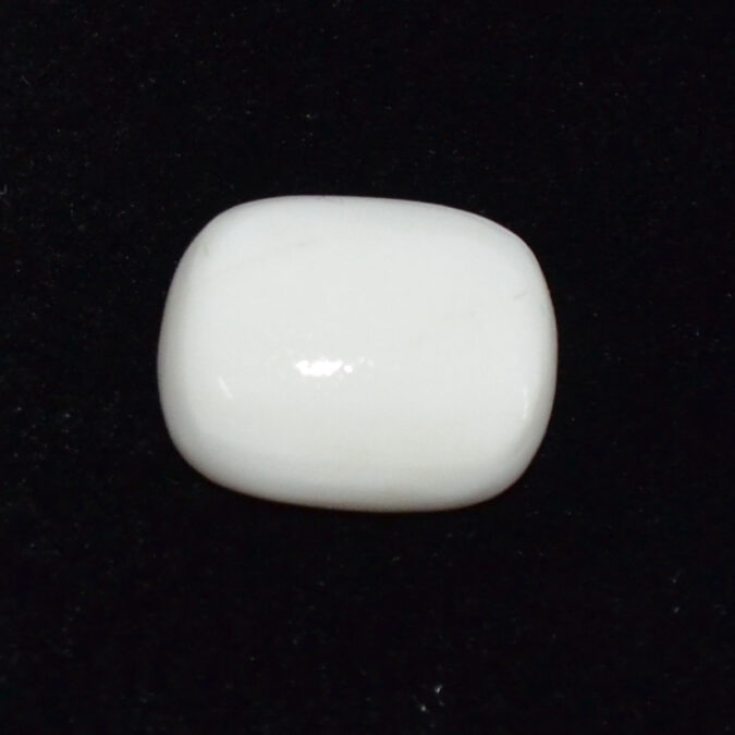 CRLG6087 2 CORAL 11.04 Ct.