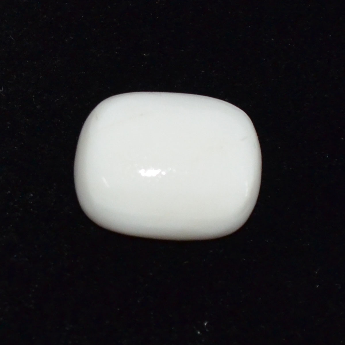 CORAL 11.04 Ct.